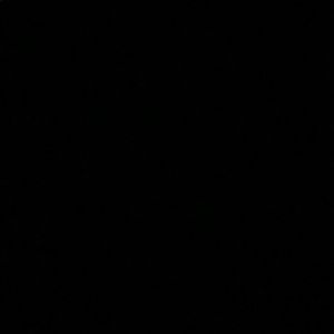 Meet your Posher, Izzy